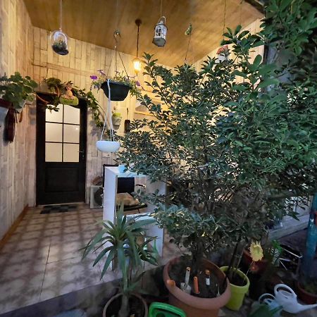 Mr Guest House Тбилиси Экстерьер фото